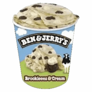Ben & Jerry's Brookies